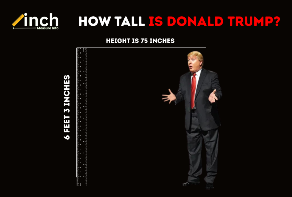 How Tall Is Donald Trump? A Detailed Look at His Height, Measurements, and Comparisons How Tall Is Donald Trump