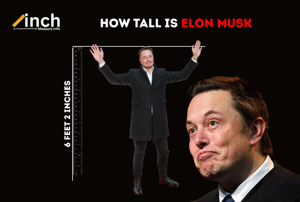 How Tall Is Elon Musk? A Complete Guide to Elon Musk’s Height How tall is Elon Musk – Elon Musk height in feet and centimeters