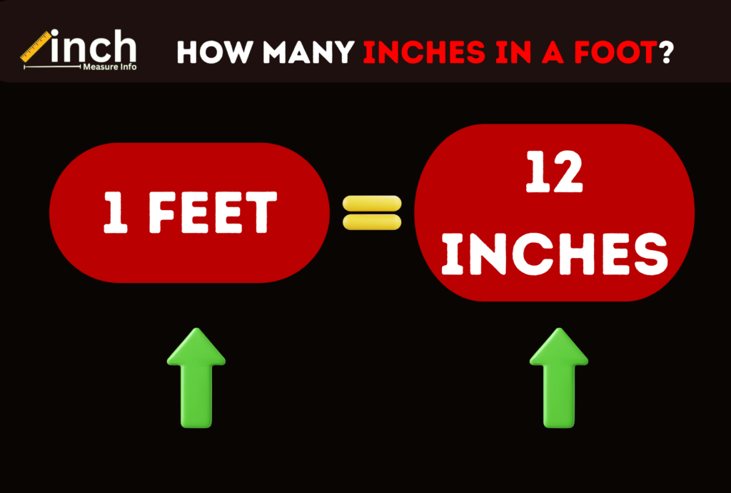 How Many Inches in a Foot?