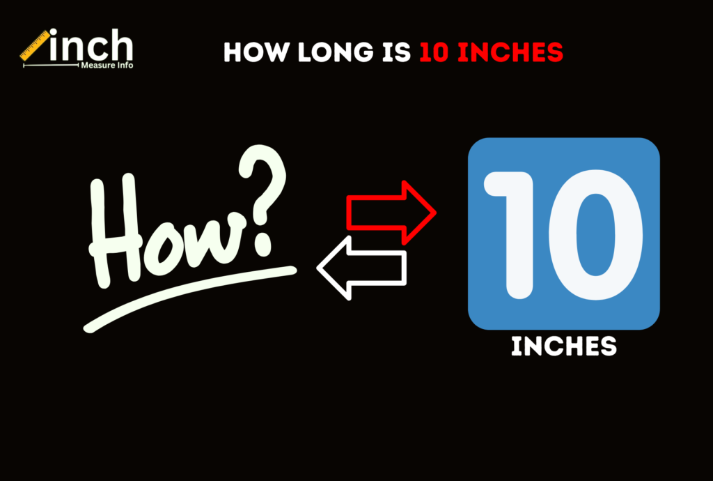 How Long is 10 Inches? A Complete Visual Guide and Conversions How Long is 10 Inches