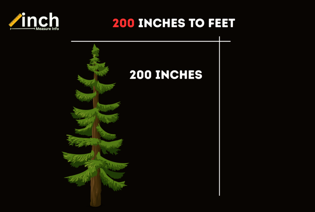 200 inches to feet