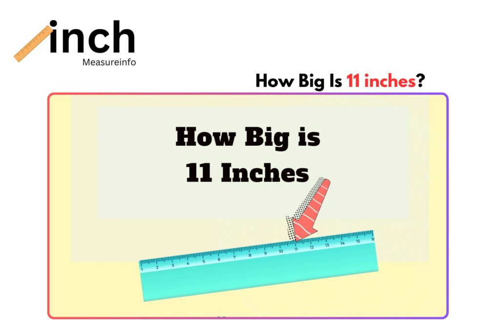 How big is 11 inches