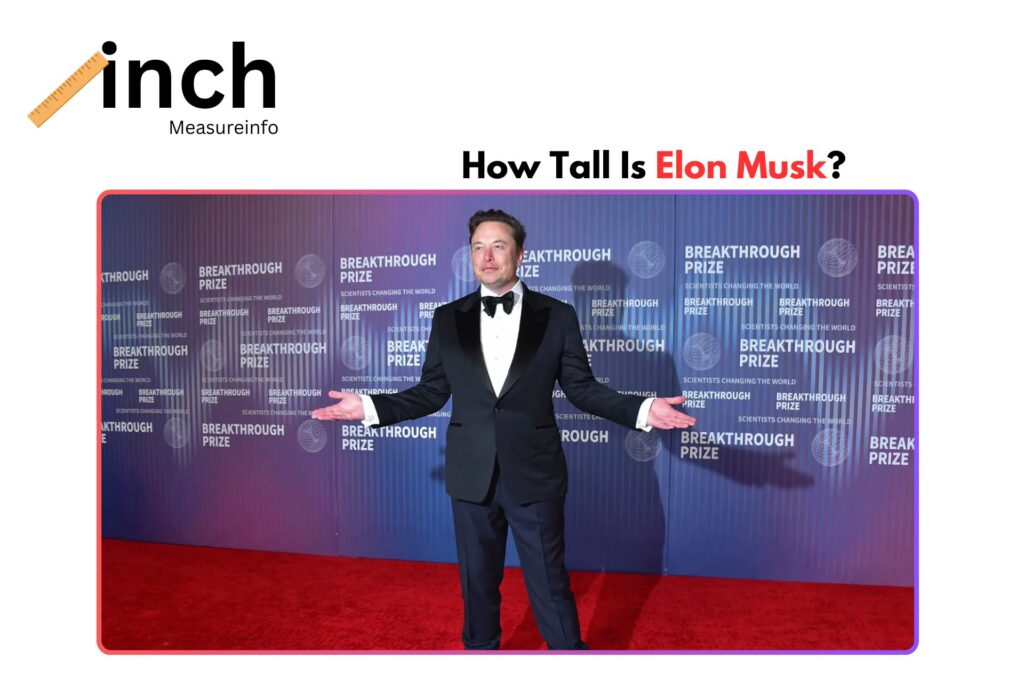How Tall Is Elon Musk?