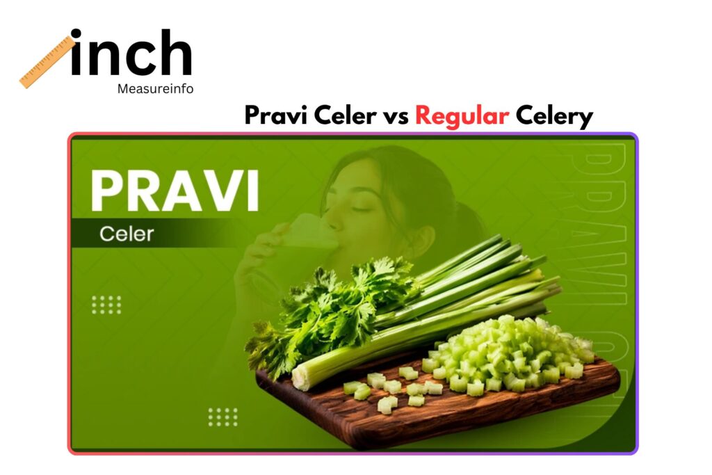 Pravi Celer